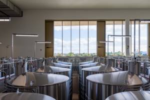 MARION SAUTREAU - GENESE ATELIER D'ARCHITECTURE